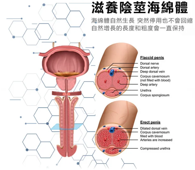 1746356239992333.png 企业微信截图_17463548636069.png