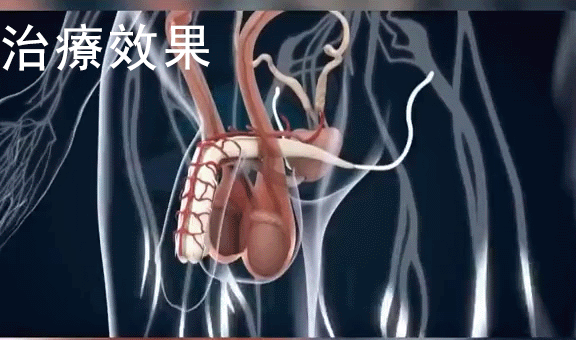 1747476762889534.gif 0517.gif